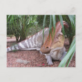 Parasaurolophus – 恐竜 – はがき (正面)