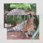 Parasaurolophus – 恐竜 – 学のカード ポストカード (正面/裏面)