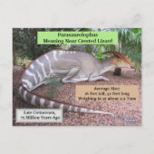 Parasaurolophus – 恐竜 – 学のカード ポストカード (裏面)