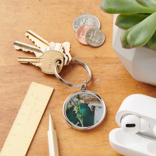 Parasol mushroom, Swedish Archipelago, Sweden キーホルダー (デスク)