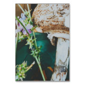 Parasol mushroom, Swedish Archipelago, Sweden テーブルナンバー (裏面)