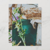 Parasol mushroom, Swedish Archipelago, Sweden ポストカード (正面/裏面)