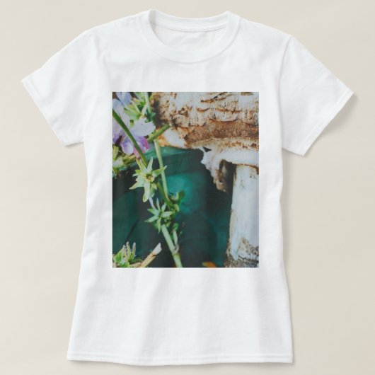 Parasol mushroom, Swedish Archipelago, Sweden Tシャツ (デザイン正面)