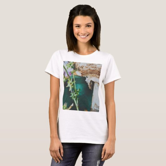 Parasol mushroom, Swedish Archipelago, Sweden Tシャツ (正面フル)