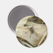 Pardosa on Oak Leaf Magnet マグネット (正面/裏面)