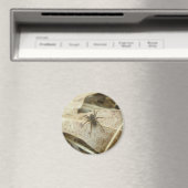 Pardosa on Oak Leaf Magnet マグネット (インサイチュ (食洗機))