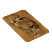 Pareidolia マグネット (右側)