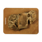 Pareidolia マグネット (横)