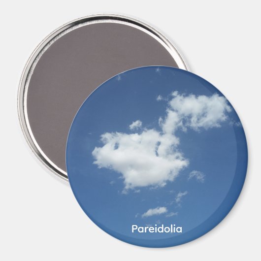 Pareidolia Talking Canyons, New Mexico マグネット (正面/裏面)