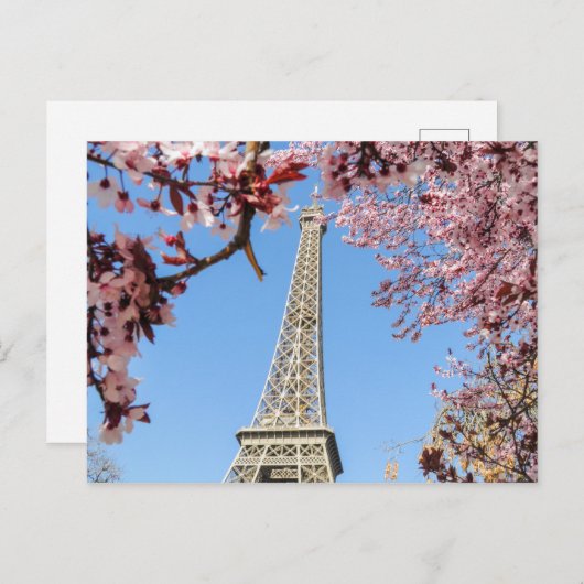 Paris ポストカード (正面/裏面)