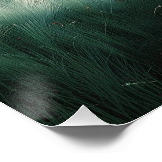 París: Arte de línea con Coordenadas. ポスター (コーナー)