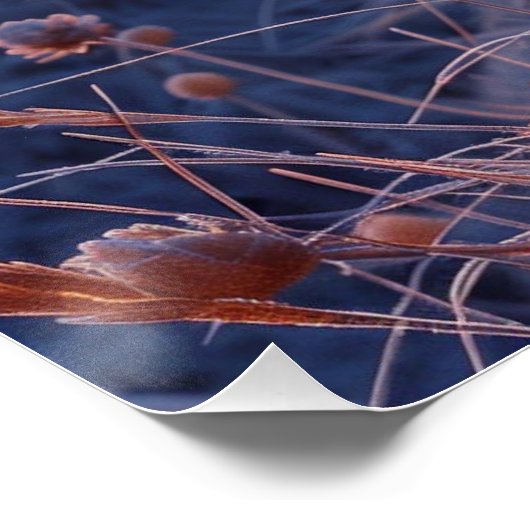 París: Fotografía Artística con Coordenadas. ポスター (コーナー)