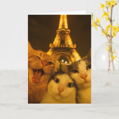 Paris Night Cat Selfie Squad Lover                 カード (黄色い花)