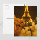 Paris Night Cat Selfie Squad Lover                 ポストカード (正面/裏面)