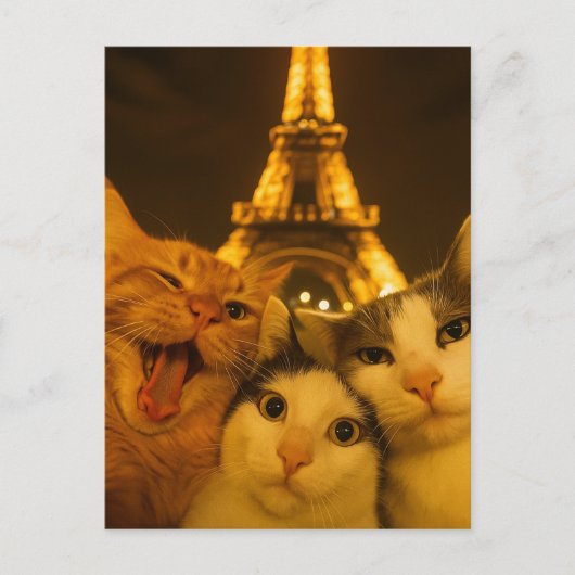 Paris Night Cat Selfie Squad Lover                 ポストカード (正面)