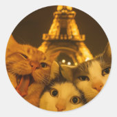 Paris Night Cat Selfie Squad Lover                 ラウンドシール (正面)