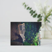 Park Bench ポストカード (スタンド正面)