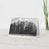 Park Landscape, Bute Park, Cardiff, Wales, UK カード (裏面)