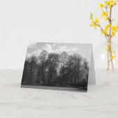 Park Landscape, Bute Park, Cardiff, Wales, UK カード (黄色い花)