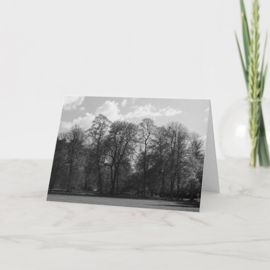 Park Landscape, Bute Park, Cardiff, Wales, UK カード (正面)