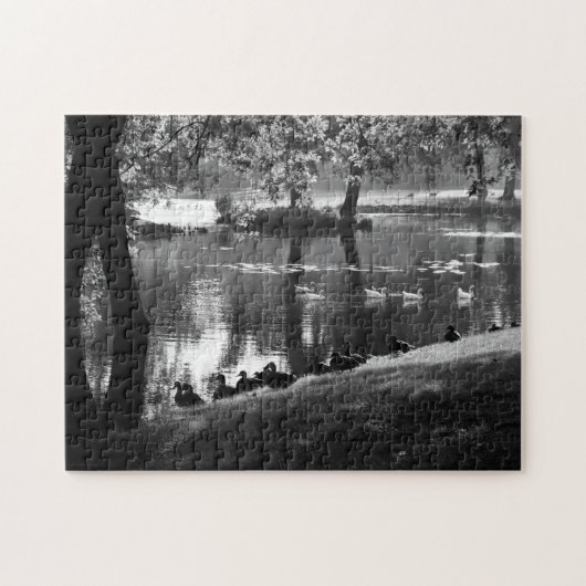 Park Life 11x14 252pc jpcna ジグソーパズル (横)
