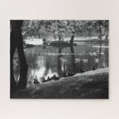 Park Life 16x20 520pc jpcna ジグソーパズル (横)