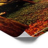 Park, NYC Central Park, ポスター (角)