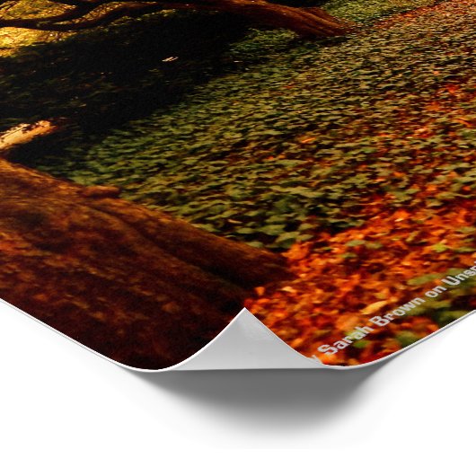 Park, NYC Central Park, ポスター (角)