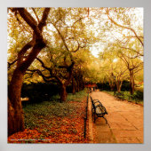 Park, NYC Central Park, ポスター (正面)