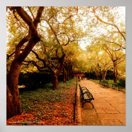 Park, NYC Central Park, ポスター
