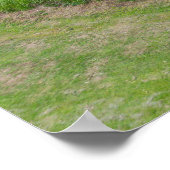 Park Trees Beside Roadside Green Landscape ポスター (角)