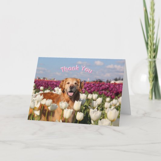 ParkerPupサンキューカード サンキューカード (正面)