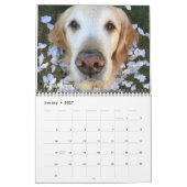 ParkerPup、Reser及びえらとの2019年 カレンダー (1月 2027)