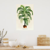 Parlour Palm Vintage  Fine Art Print. Classic ポスター (キッチン)