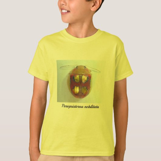 Paropsisternaのnobilitata、ハムシ Tシャツ (正面)