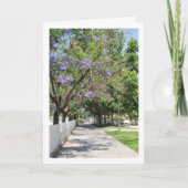 Parque de la Bormbilla、リリア、バレンシア、スペイン カード (正面)