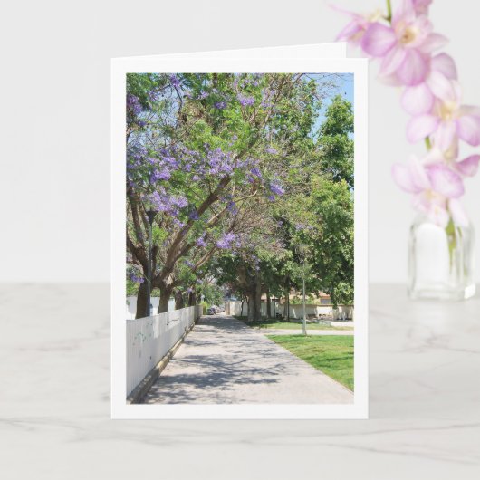 Parque de la Bormbilla、リリア、バレンシア、スペイン カード (蘭)