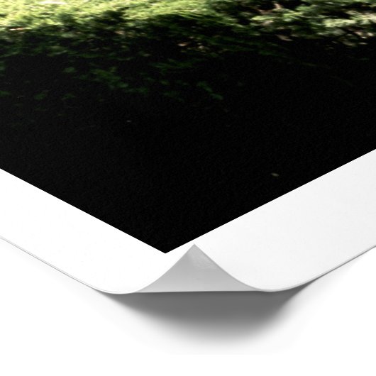 Parque del Laberinto, 1791年（写真） ポスター (角)