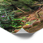 Parque Gallineral of San Gil ポスター (角)