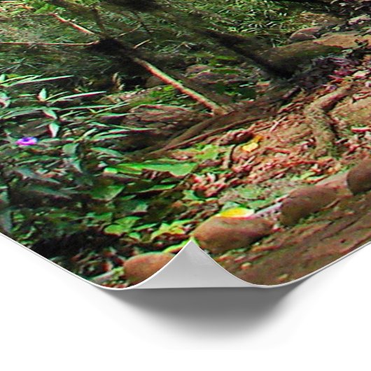 Parque Gallineral of San Gil ポスター (角)