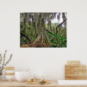 Parque Gallineral of San Gil ポスター (キッチン)