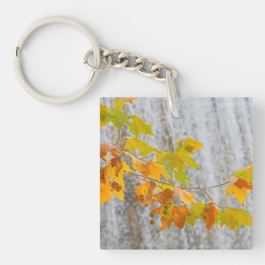 Parque Natural del Monasterio -紅葉 キーホルダー (正面)