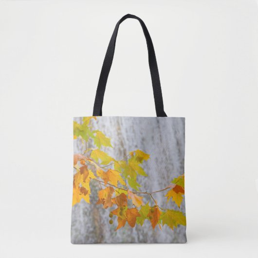 Parque Natural del Monasterio -紅葉 トートバッグ (正面)