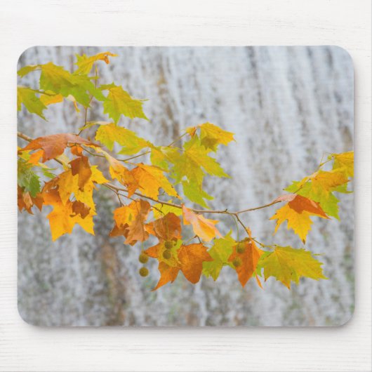 Parque Natural del Monasterio -紅葉 マウスパッド (正面)