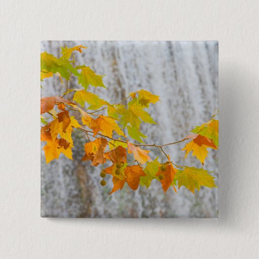 Parque Natural del Monasterio -紅葉 缶バッジ (正面)