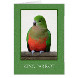 Parrotのオーストラリアの鳥美しい王