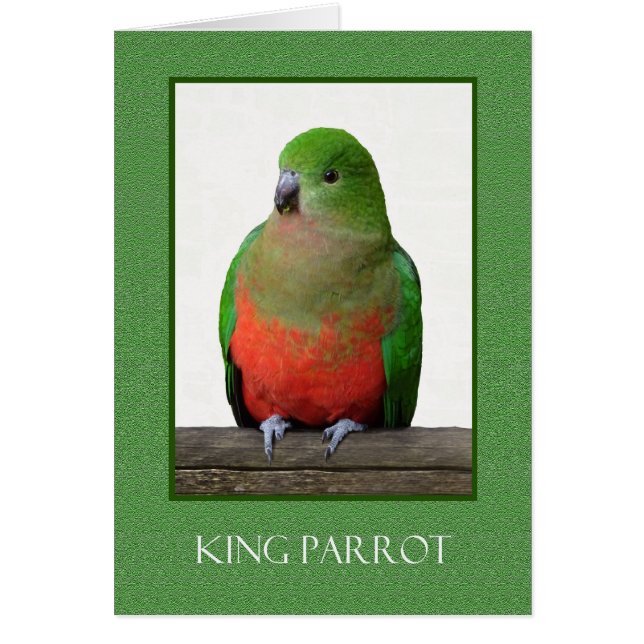 Parrotのオーストラリアの鳥美しい王 (正面)