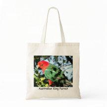 Parrotオーストラリアの王