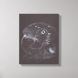 Parrot -オリジナルスケッチ- Canvas Print キャンバスプリント