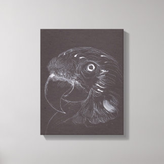 Parrot -オリジナルスケッチ- Canvas Print キャンバスプリント